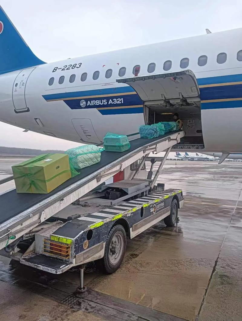 飞机能不能带纸箱 飞机可以带纸箱吗 飞机能不能带纸箱 飞机可以带纸箱吗