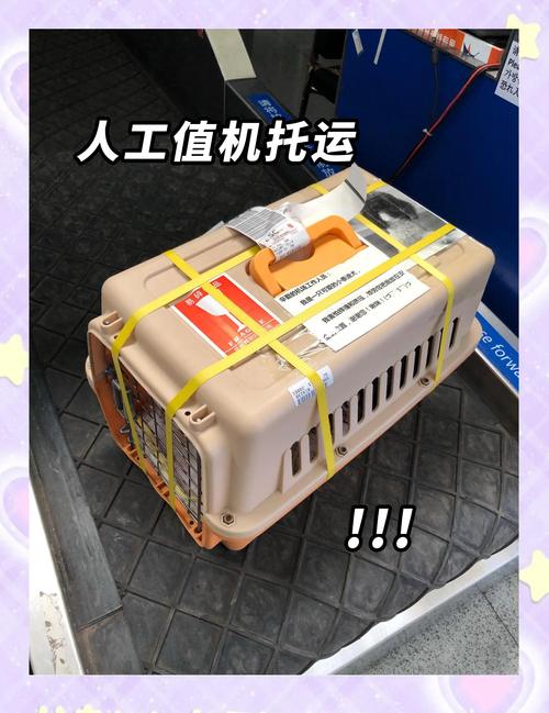 飞机托运行李规定不能带哪些东西 飞机托运行李规定不能带哪些东西